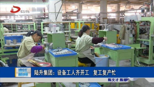 陸升集團 設(shè)備工人齊開工 復(fù)工復(fù)產(chǎn)忙